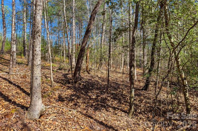 3107 Channel View Cove, Morganton, NC 28655
