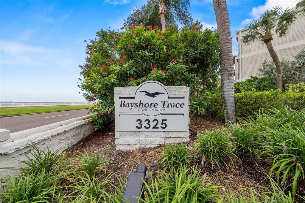 Image 31 of property listing at 3325 BAYSHORE BOULEVARD F36, Tampa, FL 33629