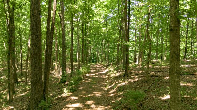 8218 Old Pond Creek Rd, Nashville, TN 37209