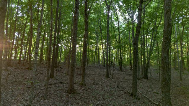 8218 Old Pond Creek Rd, Nashville, TN 37209