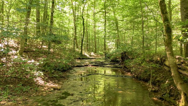 8218 Old Pond Creek Rd, Nashville, TN 37209