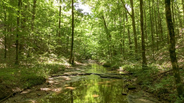 8218 Old Pond Creek Rd, Nashville, TN 37209