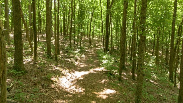 8218 Old Pond Creek Rd, Nashville, TN 37209