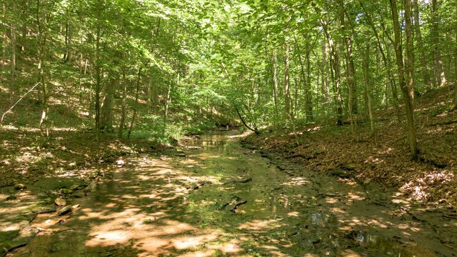 8218 Old Pond Creek Rd, Nashville, TN 37209