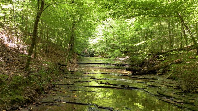 8218 Old Pond Creek Rd, Nashville, TN 37209