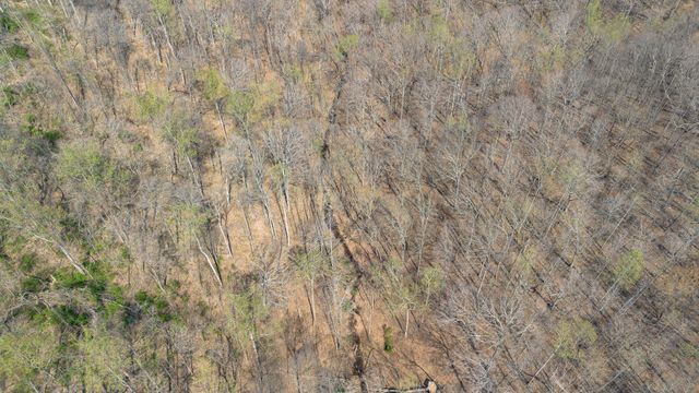 8218 Old Pond Creek Rd, Nashville, TN 37209