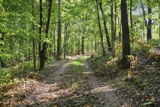 8218 Old Pond Creek Rd, Nashville, TN 37209