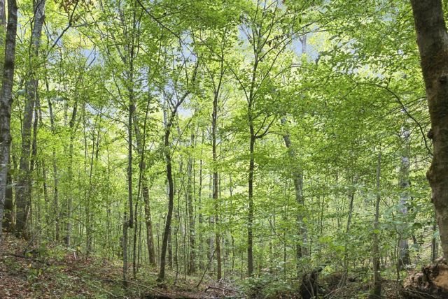 8218 Old Pond Creek Rd, Nashville, TN 37209
