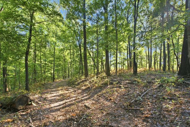 8218 Old Pond Creek Rd, Nashville, TN 37209