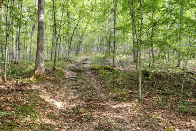 8218 Old Pond Creek Rd, Nashville, TN 37209