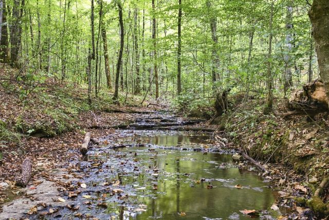 8218 Old Pond Creek Rd, Nashville, TN 37209
