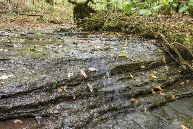 8218 Old Pond Creek Rd, Nashville, TN 37209
