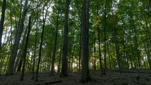 8218 Old Pond Creek Rd, Nashville, TN 37209