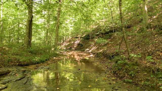 8218 Old Pond Creek Rd, Nashville, TN 37209