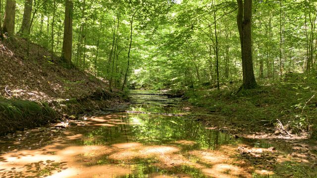 8218 Old Pond Creek Rd, Nashville, TN 37209