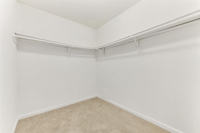 15134 Trinity Meadow Drive, Houston, TX 77489