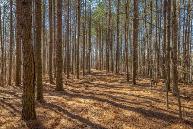 0 Moonlight Lane Jf439, Jasper, TN 37347