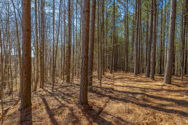 0 Moonlight Lane Jf439, Jasper, TN 37347