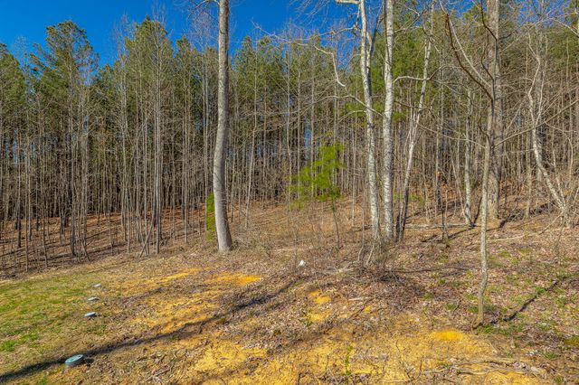 0 Moonlight Lane Jf439, Jasper, TN 37347
