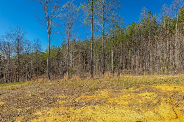 0 Moonlight Lane Jf439, Jasper, TN 37347