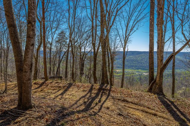 0 Moonlight Lane Jf439, Jasper, TN 37347
