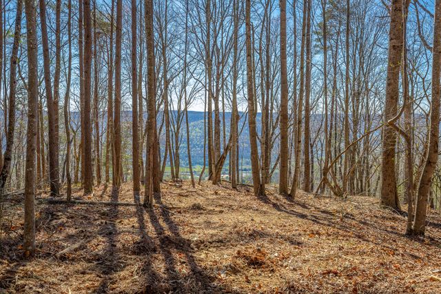 0 Moonlight Lane Jf439, Jasper, TN 37347