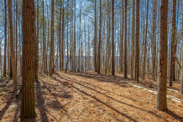 0 Moonlight Lane Jf439, Jasper, TN 37347