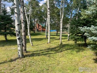27667 Buckhorn Road, Bellvue, CO 80512