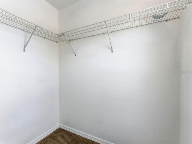 11513 DECLARATION DRIVE, Tampa, FL 33635
