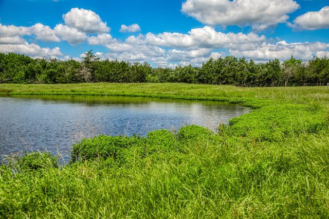 1850 Lcr 439, Mexia, TX 76667