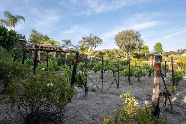 2763 W VICTORIA DR, Alpine, CA 91901