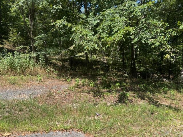 10 Pine Lane, Holiday Island, AR 72631