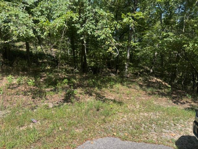 10 Pine Lane, Holiday Island, AR 72631