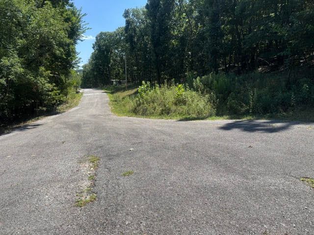 10 Pine Lane, Holiday Island, AR 72631