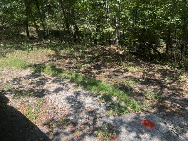 10 Pine Lane, Holiday Island, AR 72631
