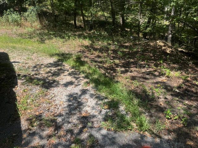 10 Pine Lane, Holiday Island, AR 72631