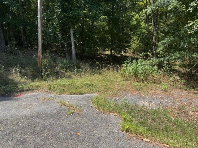 10 Pine Lane, Holiday Island, AR 72631