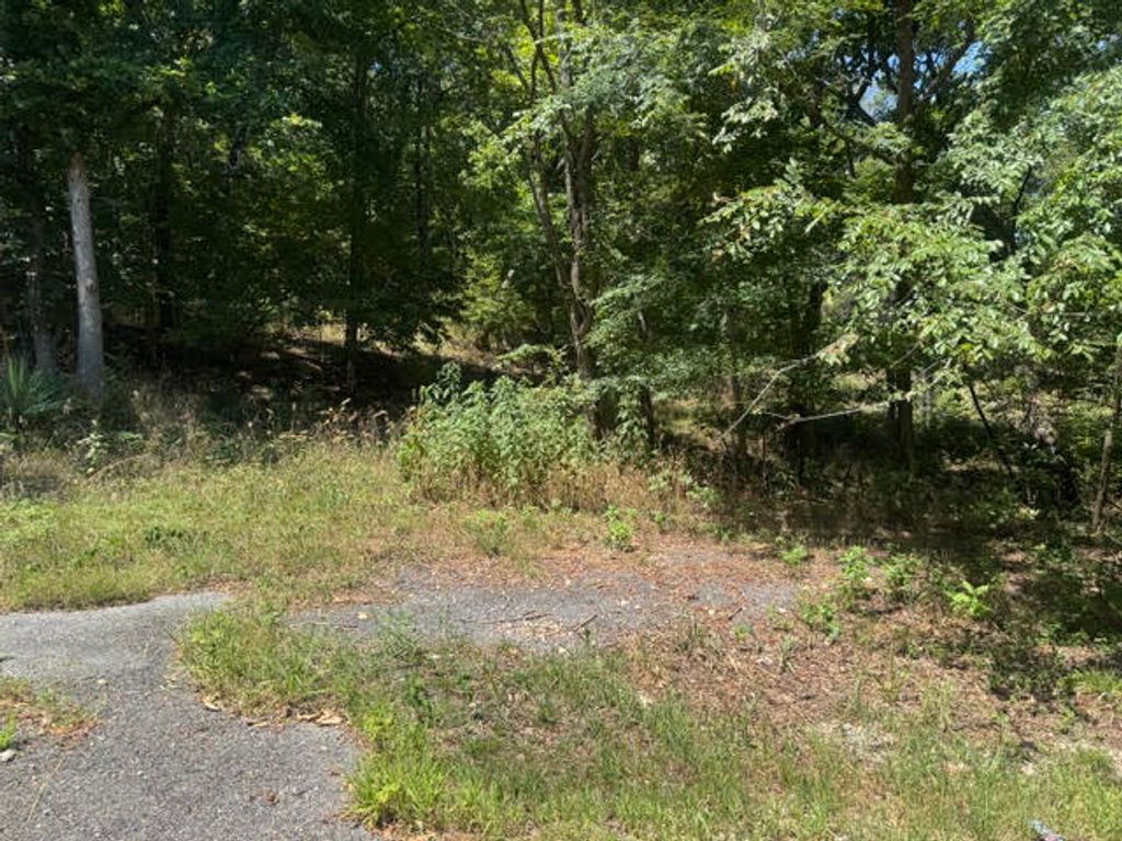 10 Pine Lane, Holiday Island, AR 72631