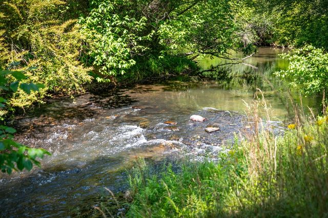 279 River Escape Drive, Ellijay, GA 30540