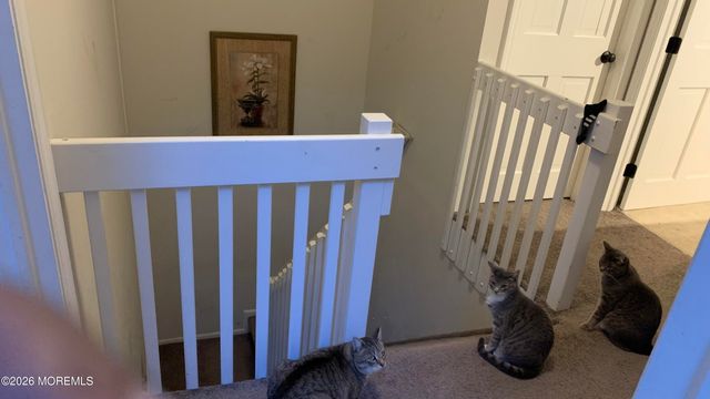 59 Falson Lane, Morganville, NJ 07751