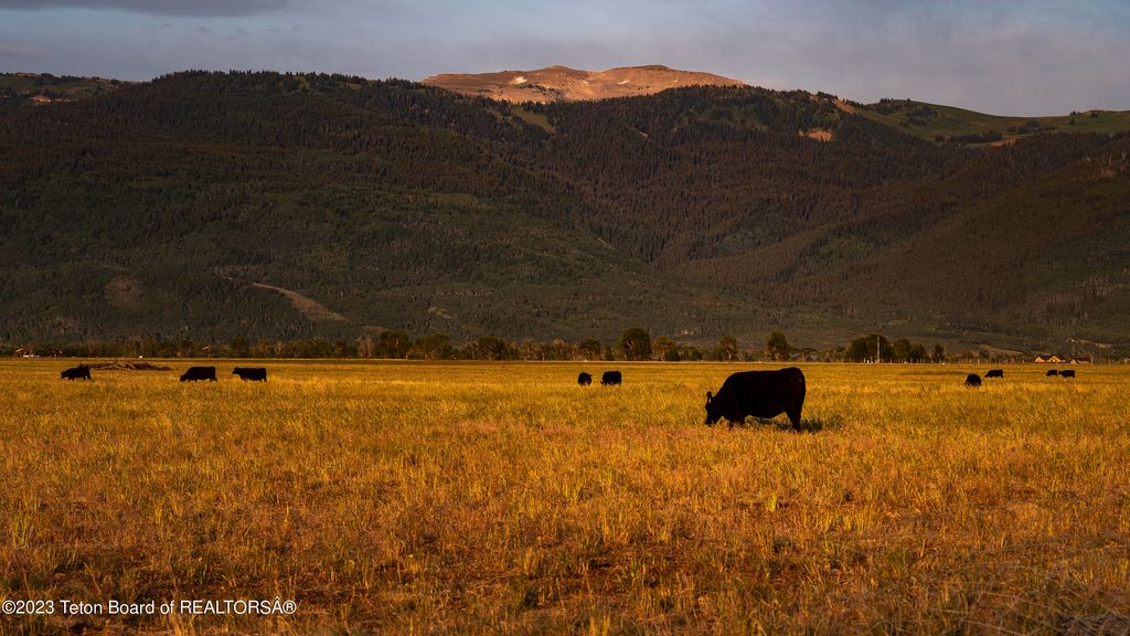 250 E 1750 N, Driggs, ID 83422 photo 2