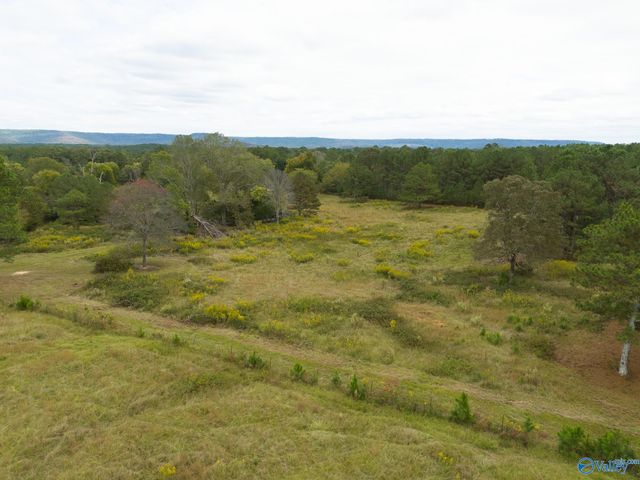 232 Kenny Clay Road, Somerville, AL 35670