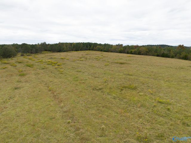 232 Kenny Clay Road, Somerville, AL 35670