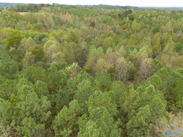 232 Kenny Clay Road, Somerville, AL 35670