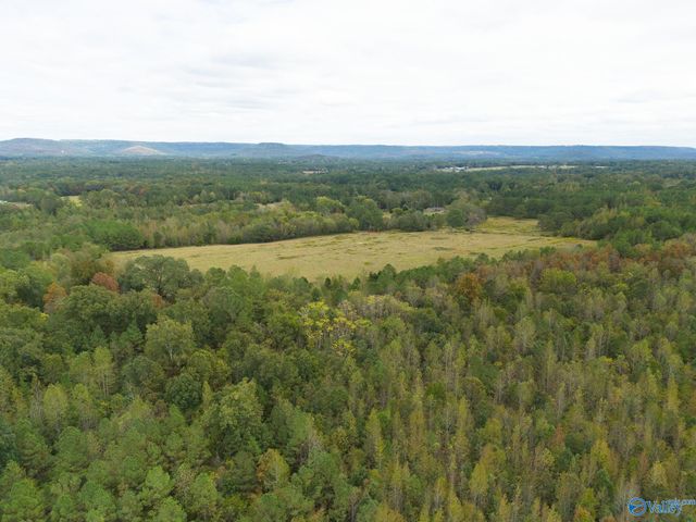 232 Kenny Clay Road, Somerville, AL 35670