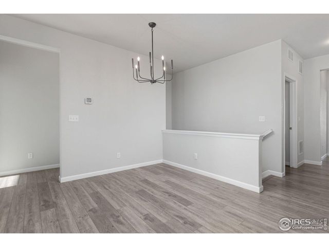 244 Veronica Dr, Windsor, CO 80550