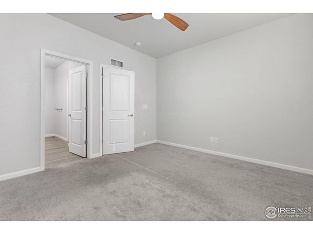 244 Veronica Dr, Windsor, CO 80550