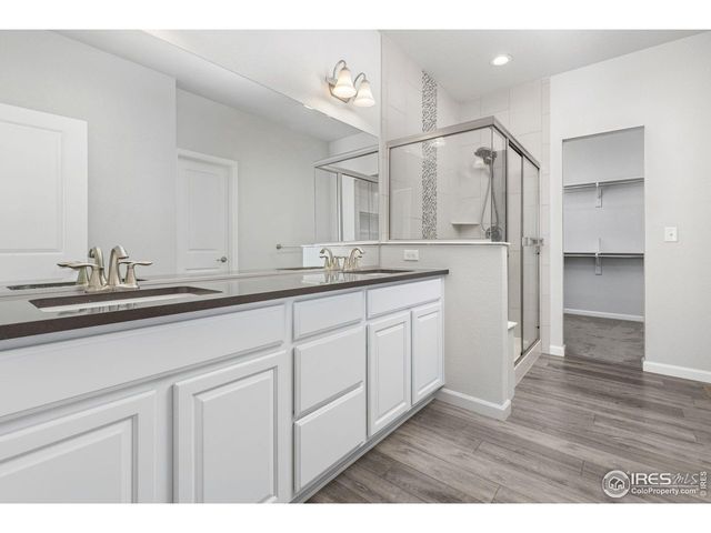 244 Veronica Dr, Windsor, CO 80550