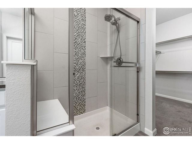 244 Veronica Dr, Windsor, CO 80550