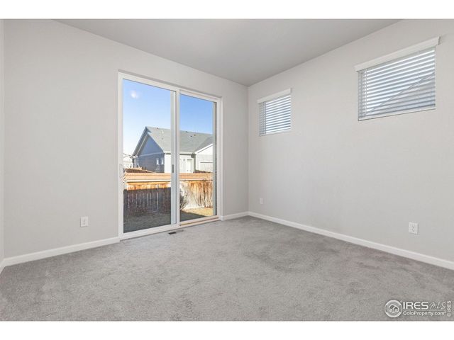 244 Veronica Dr, Windsor, CO 80550